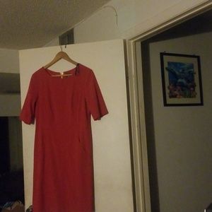 Vince Gauto arose dress